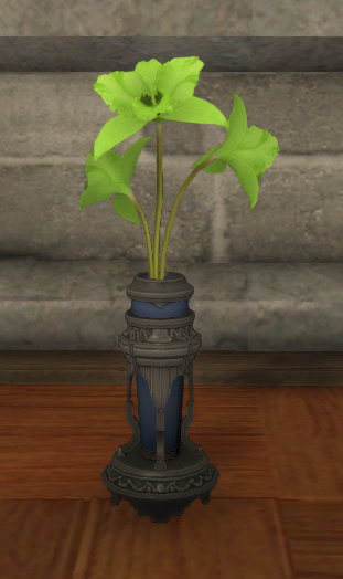 File:Green Cattleyas.png