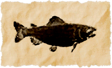 File:Trailtrout.png