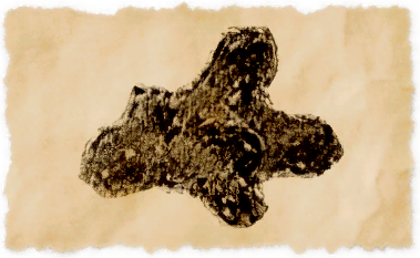 File:Cloud coral.png