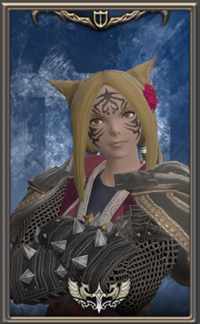 File:Paladin (Ornate) Portrait Preset example.png