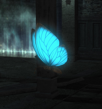 File:Cellar Morpho.jpg