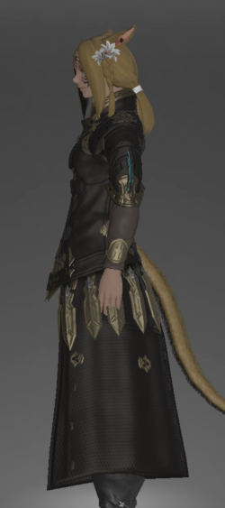 File:Augmented Lost Allagan Coat of Striking side.png