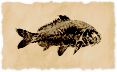 File:Indigo prismfish.png