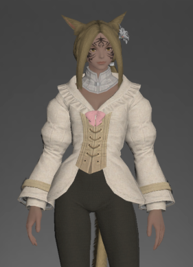 Plundered Armor - Bliaud (Sastasha, Tam-Tara Deepcroft, Copperbell Mines, Market Board)