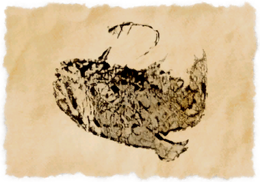 File:Amber monkfish.png