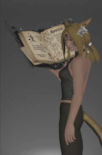 File:Diamond Grimoire inside.png