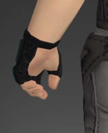 File:Dark Horse Champion's Halfgloves of Fending 2.png