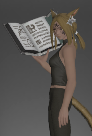 File:Unfinished Replica of the Omnilex inside.png