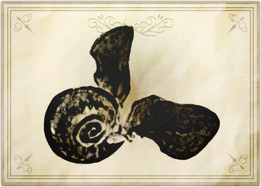 File:Sea butterfly.png