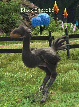 File:Black Chocobo 1.png
