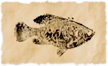 File:Allagan hunter.png