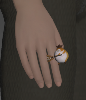 File:Paissa Ring side.png