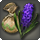 Hyacinth bulbs icon1.png