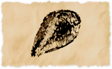 File:Sirensong mussel.png