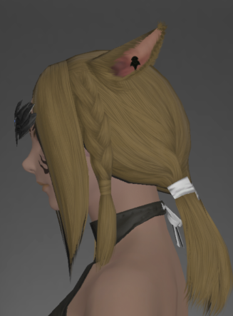 File:Omicron Circlet of Scouting side.png