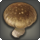 Rarefied shiitake mushroom icon1.png