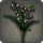 Black lilies of the valley icon1.png