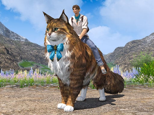 File:Shagcoat Cat1.jpg