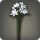 White triteleia icon1.png