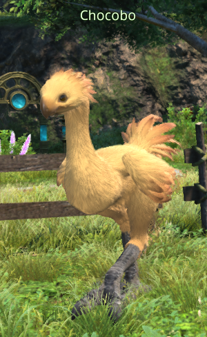 File:Chocobo 1.png