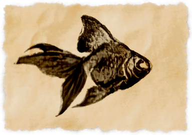 File:Doman bubble eye.png