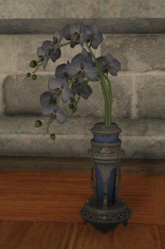 File:Black Moth Orchids.png