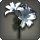 White brightlilies icon1.png