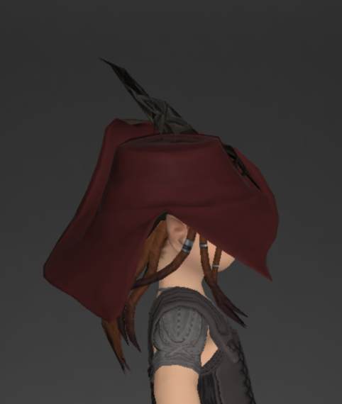 File:Tigerskin Tricorne of Striking 4.png