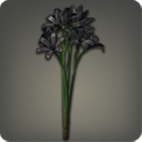 Black triteleia icon1.png