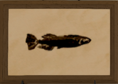 File:Killifish print.png