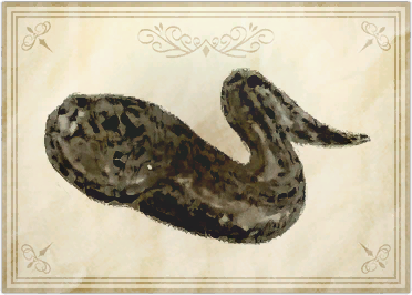 File:Spectral snake eel.png