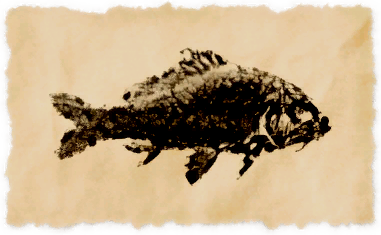 File:White goldfish.png