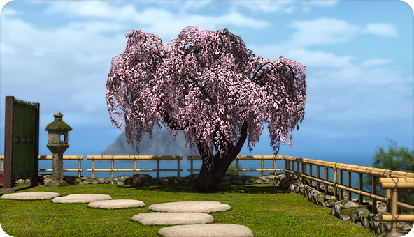 File:Little Ladies' Day furnishings 2 2026.jpg