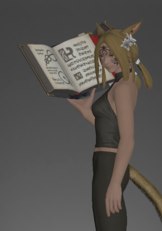 File:Replica of the Omnilex Atma inside.png