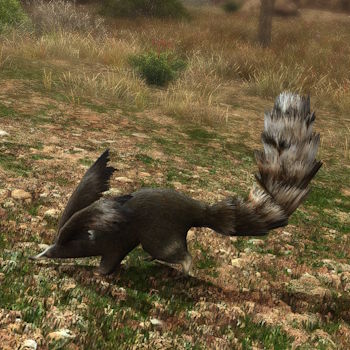 File:Star Marmot.jpg