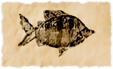 File:Clown tetra.png