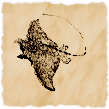 File:Glass manta.png