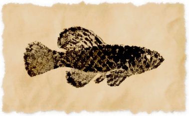 File:Azysfish.png