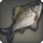 Grey carp icon1.png