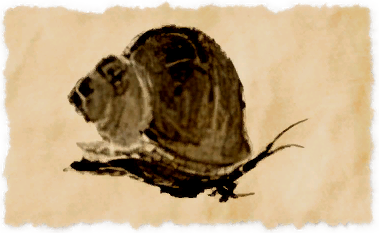 File:Ignus snail.png