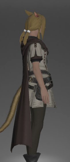 File:Wayfarer's Tabard right side.png