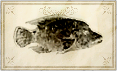 File:Circuit tilapia.png