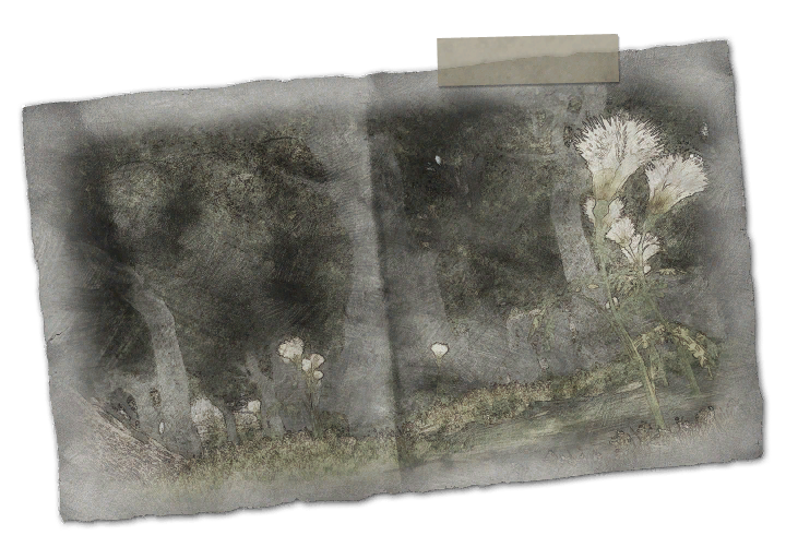 File:Occult Record 18.png