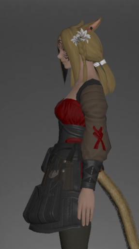 File:Nabaath Doublet of Striking left side.png