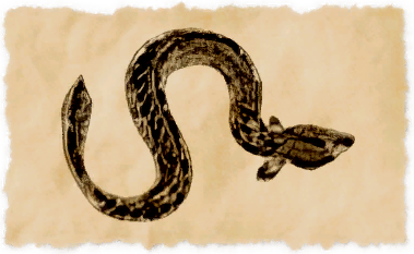 File:Oily ropefish.png