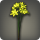Yellow triteleia icon1.png