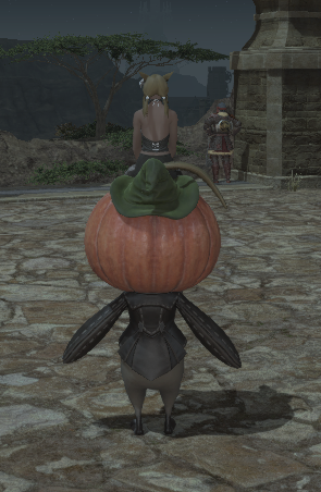 File:Ambulario rear.png