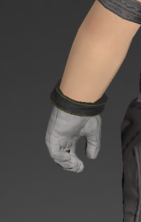 File:Arcanaut's Gloves of Scouting 2.png
