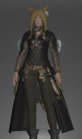 File:Augmented Lost Allagan Coat of Striking front.png
