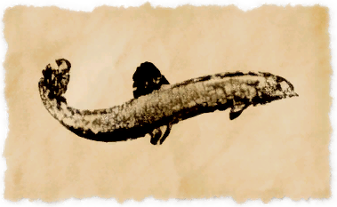 File:Death loach.png